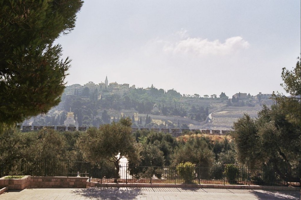 View from the Temple Mount looking out over the Mount of Olives.
